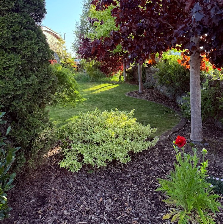 gallery-home